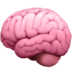 Brain Icon